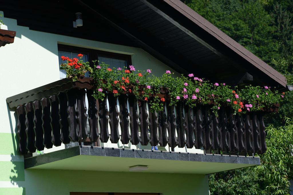 Zeleni Apartma Зрече Экстерьер фото
