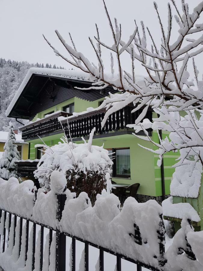 Zeleni Apartma Зрече Экстерьер фото